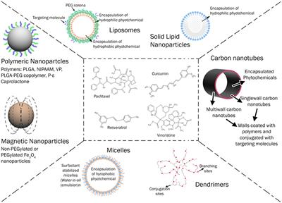 PhytoNanotechnology: Enhancing Delivery of Plant Based Anti-cancer Drugs